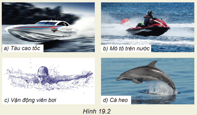 hinh-anh-bai-19-luc-can-va-luc-nang-3800-5