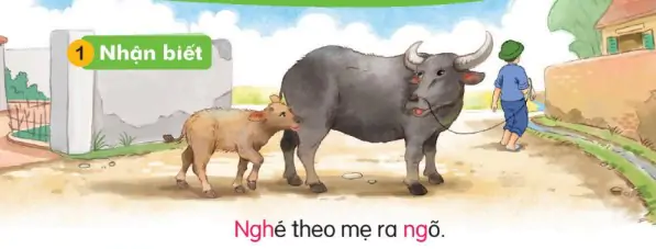 hinh-anh-bai-19-ng-ng-ngh-ngh-119-0