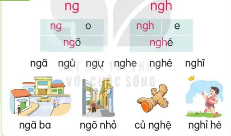 hinh-anh-bai-19-ng-ng-ngh-ngh-119-1