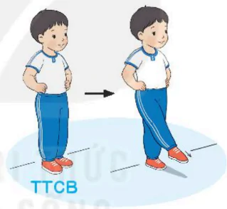 hinh-anh-bai-3-van-dong-cua-chan-1949-6
