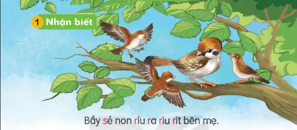 hinh-anh-bai-21-r-r-s-s-121-0