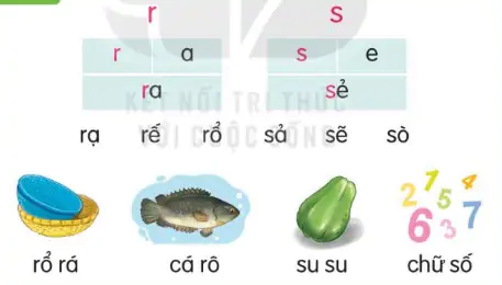 hinh-anh-bai-21-r-r-s-s-121-1