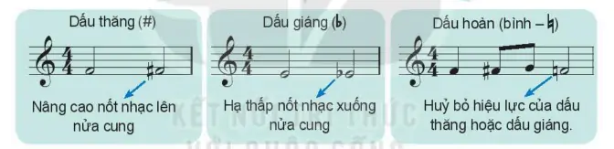 hinh-anh-chu-de-7-am-nhac-nuoc-ngoai-58-5