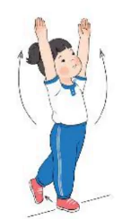 hinh-anh-bai-4-van-dong-phoi-hop-cua-co-the-1950-16