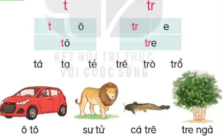 hinh-anh-bai-22-t-t-tr-tr-122-1