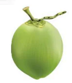 hinh-anh-bai-4-ua-ua-423-2