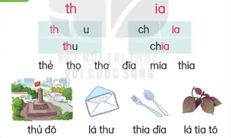 hinh-anh-bai-23-th-th-ia-123-1