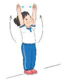hinh-anh-bai-5-van-dong-phoi-hop-cua-co-the-tiep-theo-1951-11