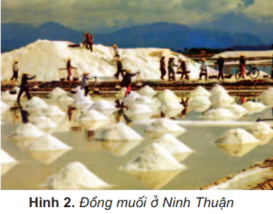 hinh-anh-bai-5-vung-bien-nuoc-ta-430-1