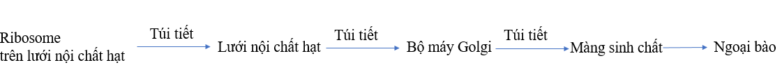 hinh-anh-bai-8-te-bao-nhan-thuc-3719-5