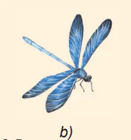 hinh-anh-bai-19-luc-can-va-luc-nang-3800-6