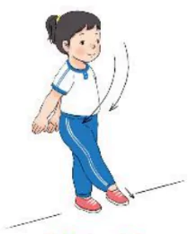 hinh-anh-bai-5-van-dong-phoi-hop-cua-co-the-tiep-theo-1951-16