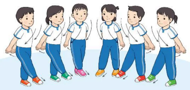 hinh-anh-bai-5-van-dong-phoi-hop-cua-co-the-tiep-theo-1951-21