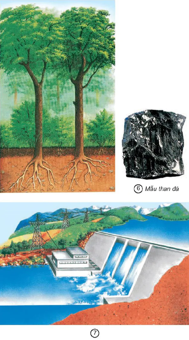 hinh-anh-bai-63-tai-nguyen-thien-nhien-1561-1