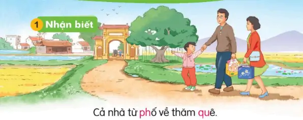 hinh-anh-bai-26-ph-ph-qu-qu-126-0