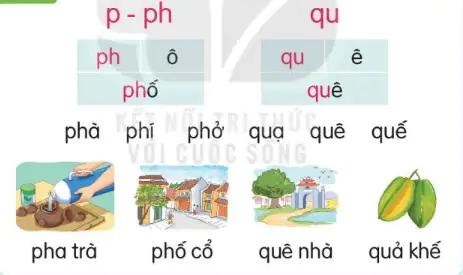 hinh-anh-bai-26-ph-ph-qu-qu-126-1