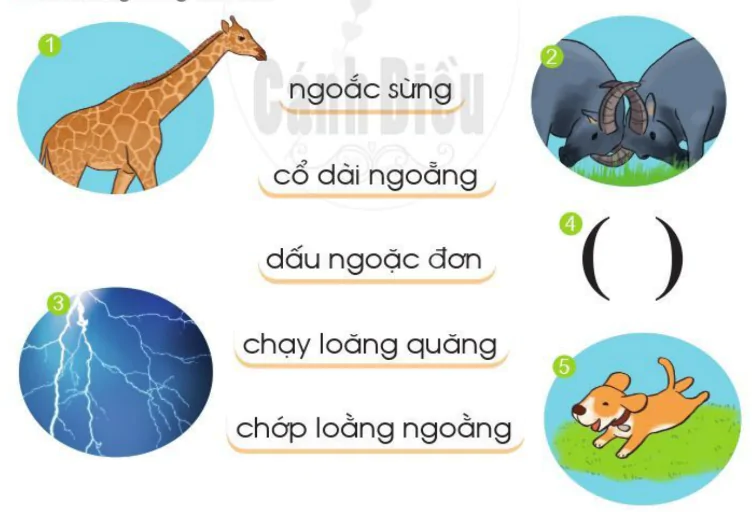 hinh-anh-bai-130-oang-oac-1281-2