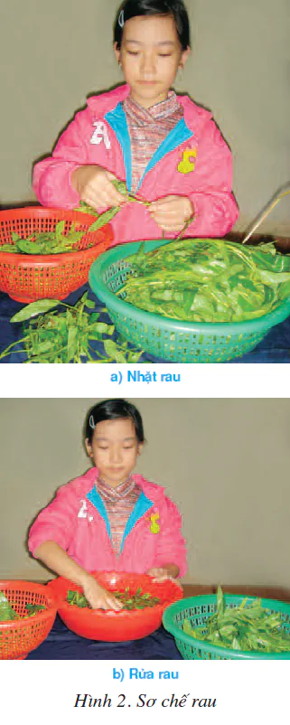 hinh-anh-bai-6-luoc-rau-1810-1