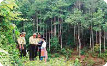 hinh-anh-bai-6-y-nghia-nhiem-vu-thuc-trang-cua-viec-bao-ve-va-khai-thac-rung-12219-1