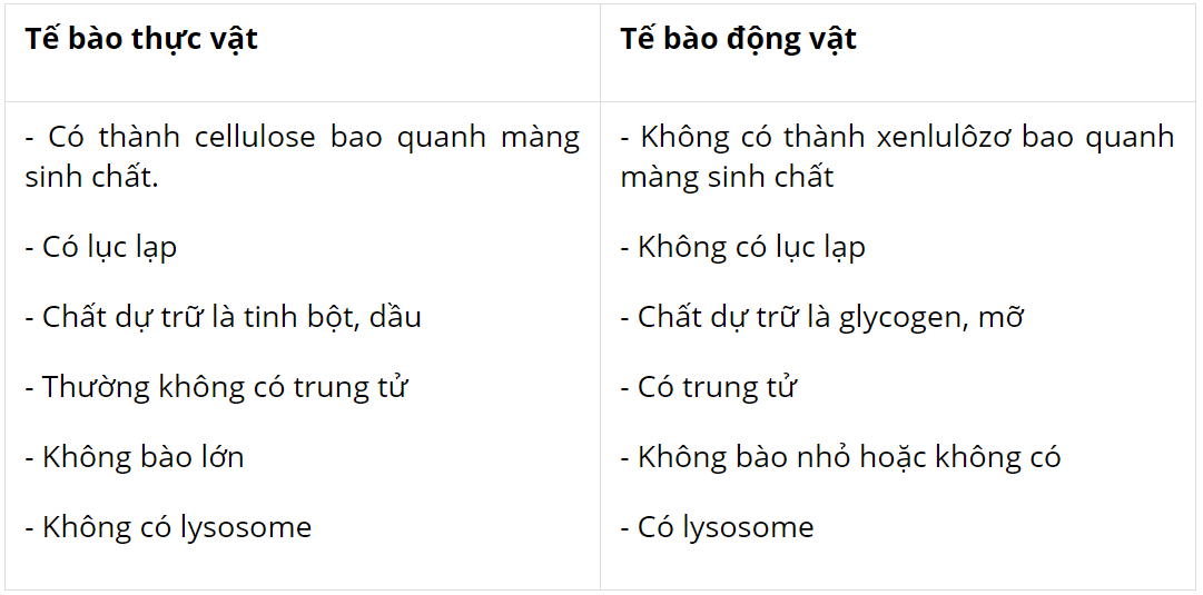 hinh-anh-bai-8-te-bao-nhan-thuc-3719-6