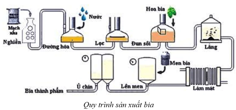 hinh-anh-bai-23-thuc-hanh-mot-so-phuong-phap-nghien-cuu-vi-sinh-vat-thong-dung-3738-0