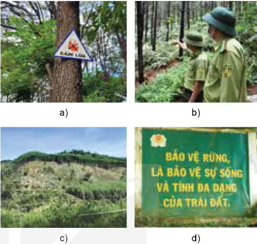 hinh-anh-bai-7-bien-phap-bao-ve-va-khai-thac-tai-nguyen-rung-12220-1