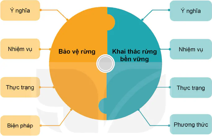 hinh-anh-on-tap-chuong-iii-12222-0