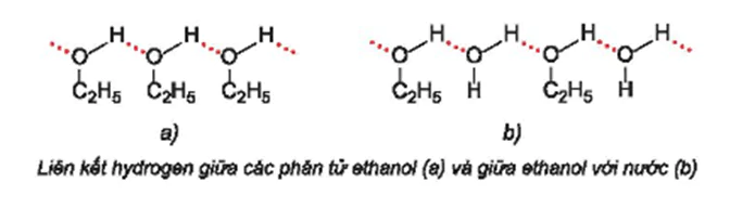 hinh-anh-bai-20-alcohol-3700-7