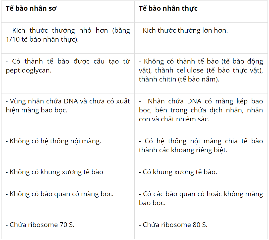 hinh-anh-bai-8-te-bao-nhan-thuc-3719-7