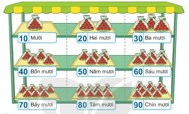 hinh-anh-bai-21-so-co-hai-chu-so-319-27