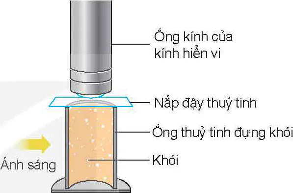hinh-anh-bai-8-mo-hinh-dong-hoc-phan-tu-khi-li-tuong-13575-1