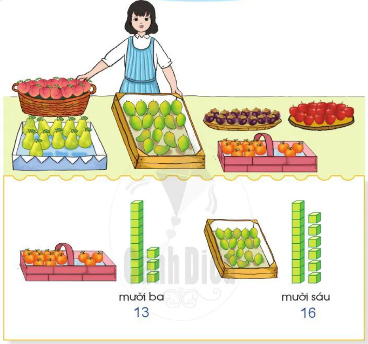 hinh-anh-cac-so-11-12-13-14-15-16-1193-0