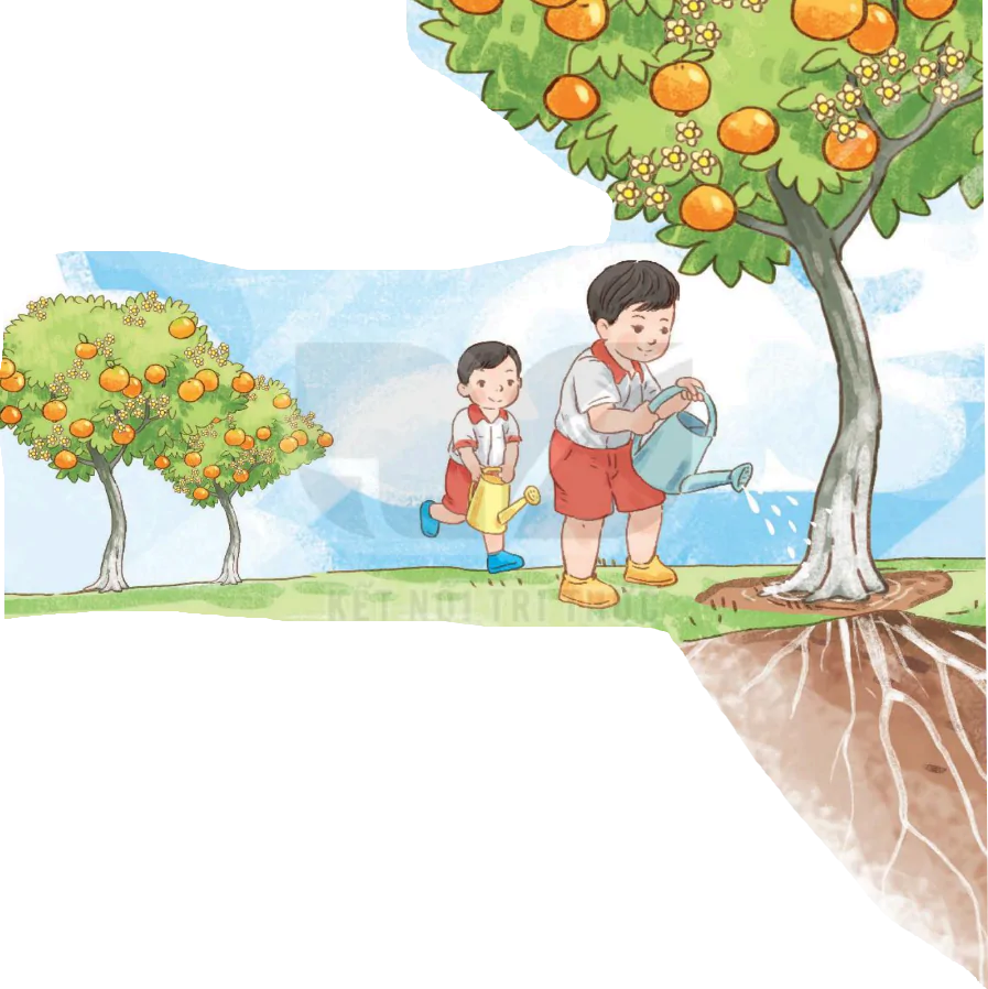 hinh-anh-bai-2-cau-chuyen-cua-re-273-0