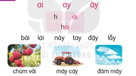 hinh-anh-bai-38-ai-ay-ay-138-1