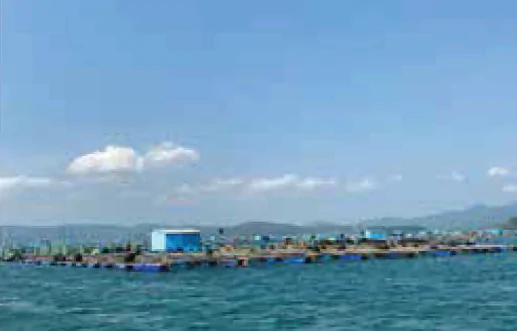 hinh-anh-bai-8-vai-tro-va-trien-vong-cua-thuy-san-12223-3