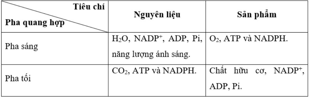 hinh-anh-bai-4-quang-hop-o-thuc-vat-3522-0