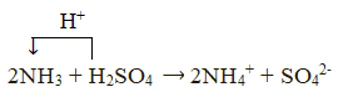hinh-anh-bai-5-ammonia-muoi-ammonium-3678-8