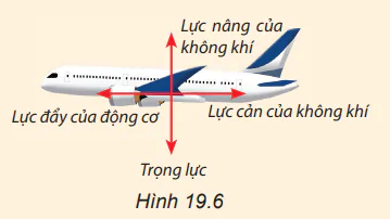 hinh-anh-bai-19-luc-can-va-luc-nang-3800-9