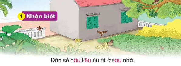 hinh-anh-bai-43-au-au-eu-143-0