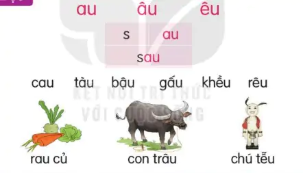 hinh-anh-bai-43-au-au-eu-143-1