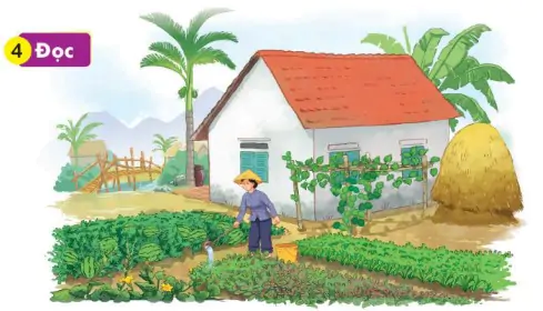 hinh-anh-bai-43-au-au-eu-143-2