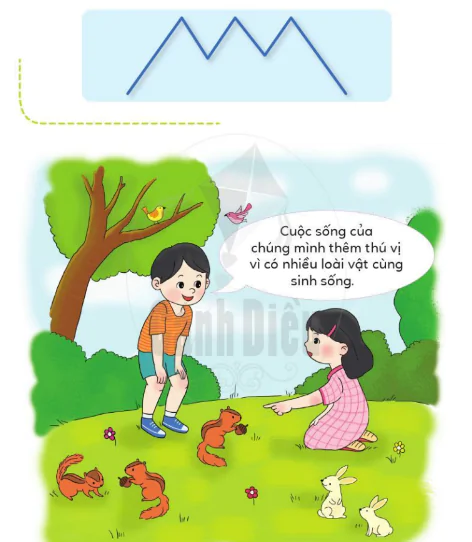 hinh-anh-chu-de-8-chu-ech-con-526-13
