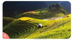 hinh-anh-bai-13-em-yeu-que-huong-670-7