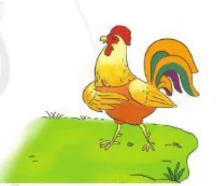 hinh-anh-bai-3-ban-be-cua-em-898-6