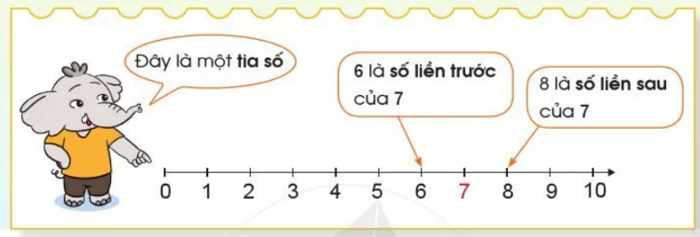 hinh-anh-tia-so-so-lien-truoc-so-lien-sau-948-0