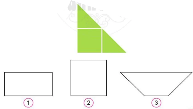 hinh-anh-luyen-tap-chung-7-1168-4