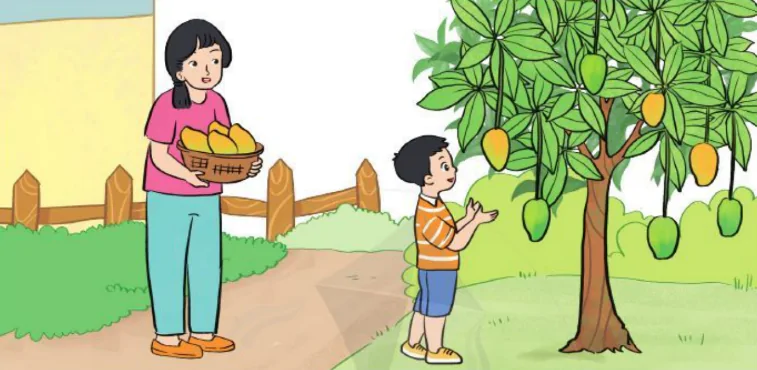 hinh-anh-on-tap-ve-phep-cong-phep-tru-trong-pham-vi-100-1172-2
