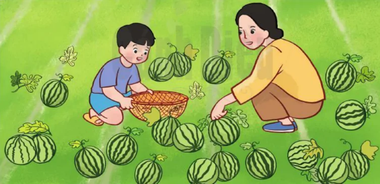 hinh-anh-on-tap-ve-so-va-phep-tinh-trong-pham-vi-1000-tiep-theo-1513-5