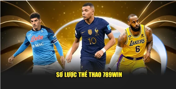 hinh-anh-the-thao-789win-san-choi-ca-cuoc-chuyen-nghiep-ty-le-keo-hap-dan-484-0