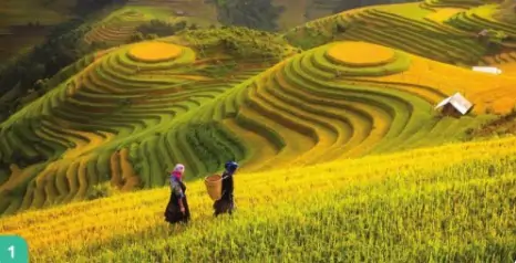 hinh-anh-bai-1-em-kham-pha-dat-nuoc-viet-nam-674-9